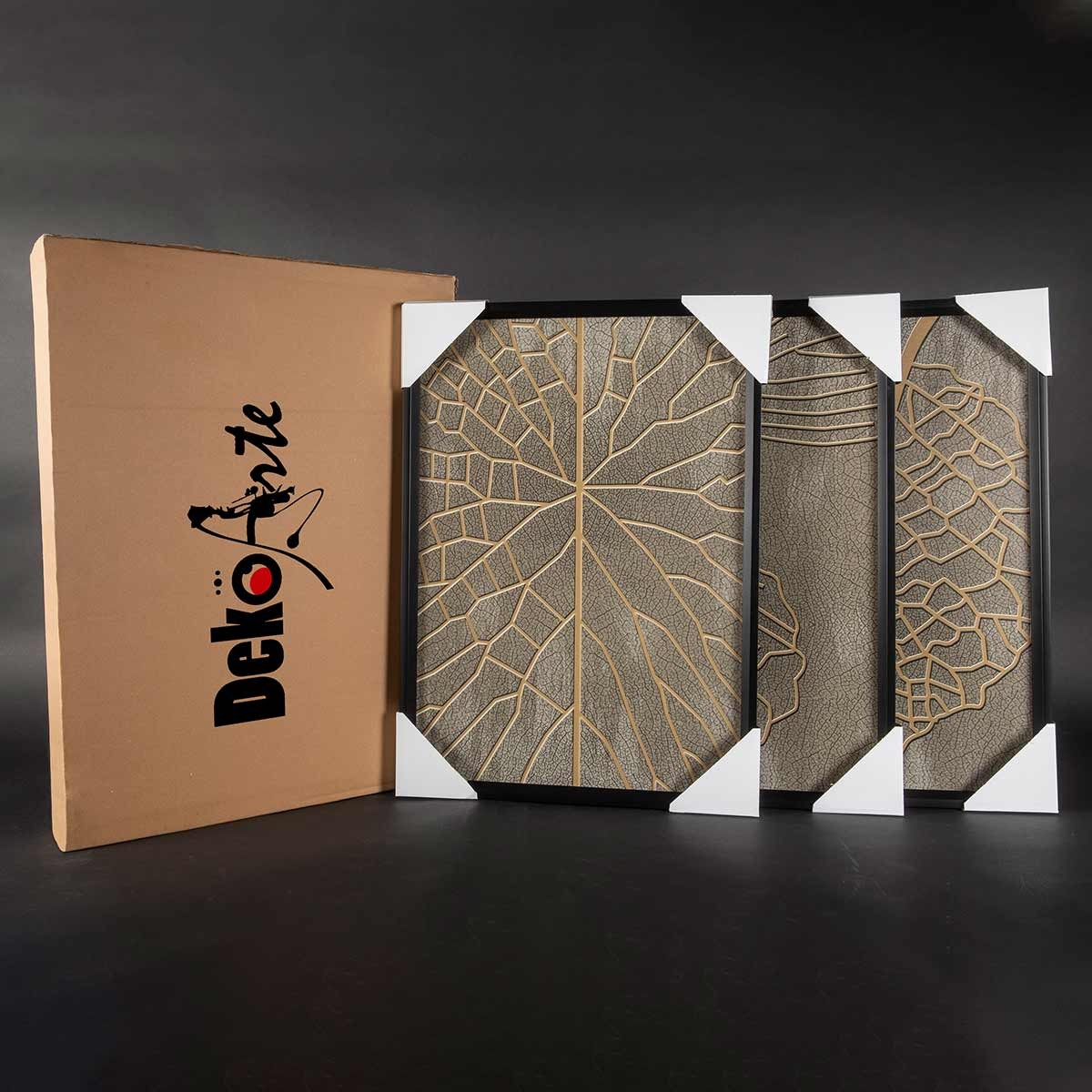 Cuadro tríptico con Marco Negro Estilo Naturaleza