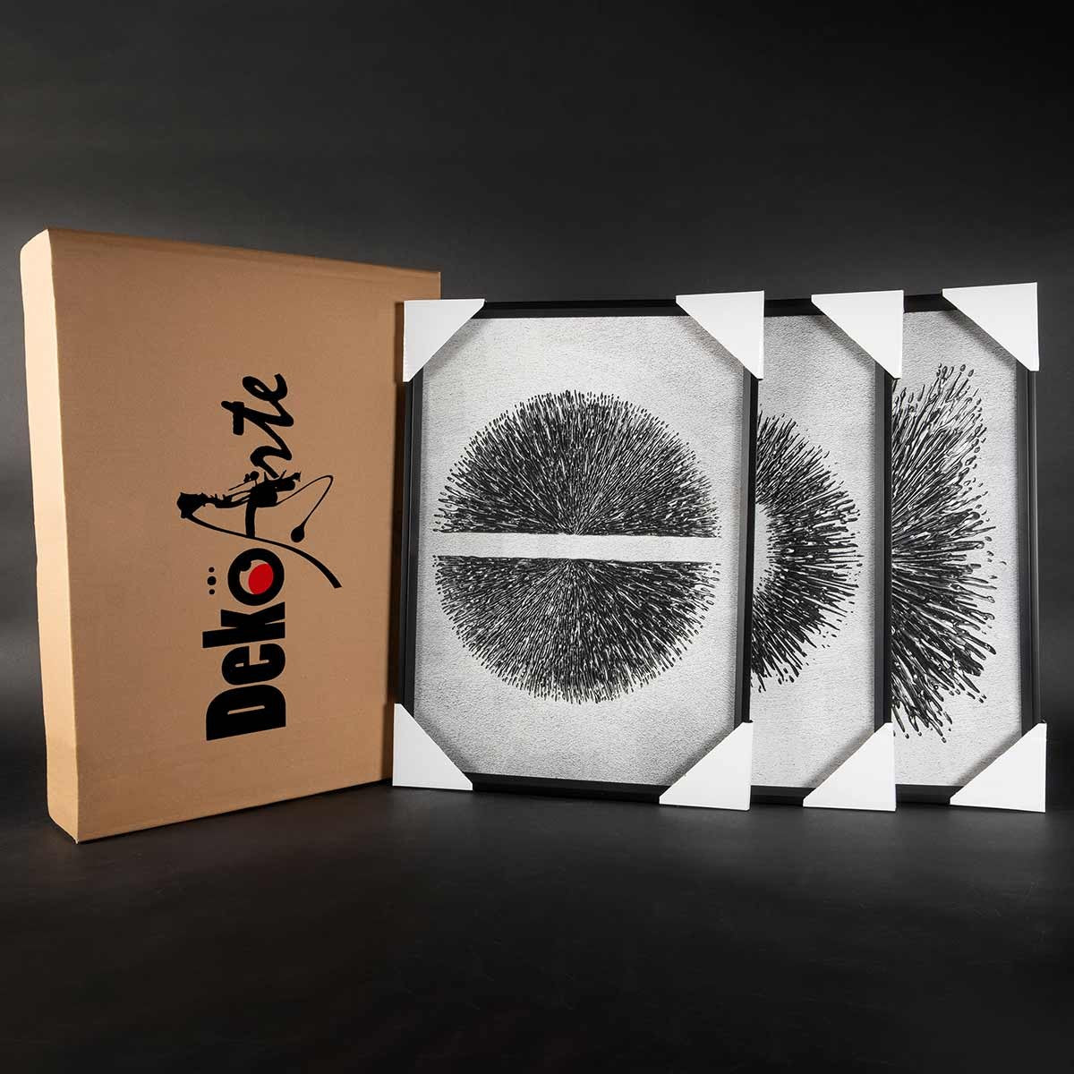 Cuadros Trípticos con Marco Negro Estilo