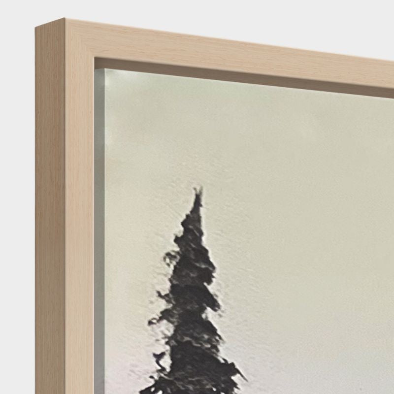 Cuadro en relieve con marco de madera