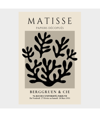 CUADRO DECORATIVO PAPIERS DÉCOUPÉS DE MATISSE