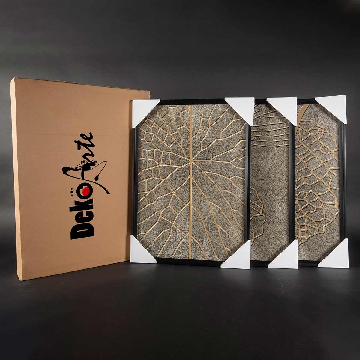 Cuadro tríptico con Marco Negro Estilo Naturaleza - DekoArte